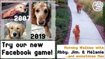 The Facebook 10-year challenge phishing expedition -Walkies with Abby