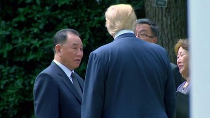 김영철, 北관료 첫 워싱턴 직항...트럼프에 김정은 친서 / YTN