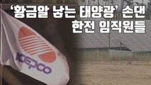 [자막뉴스] '황금알 낳는 태양광' 손댄 한전 임직원들 / YTN
