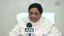 I want to give him a chance to learn: Mayawati on getting nephew into BSP