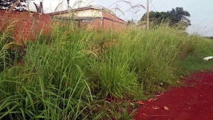 Após 'conflito' com Prefeitura, família cobra cumprimento de promessas