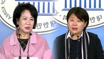 손혜원·서영교 후폭풍 계속...'친황' 경고 / YTN
