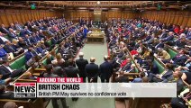 British PM May survives no confidence vote
