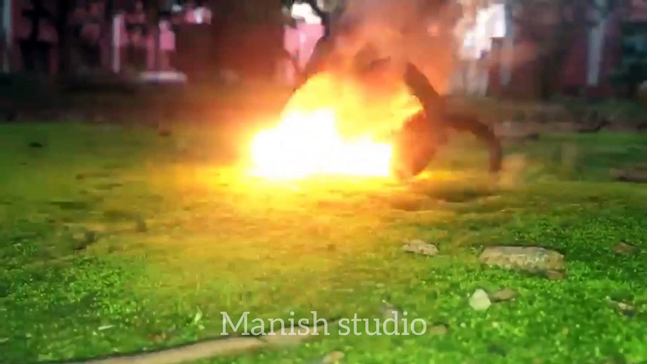 Snake Bomb experiment