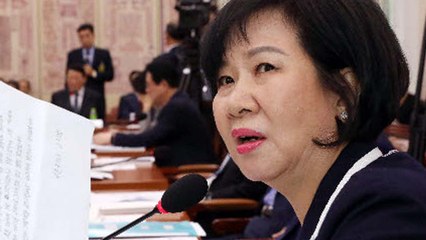 '거침없는 발언' 손혜원, 그녀는 누구? / YTN