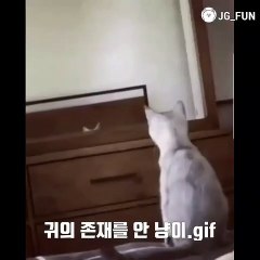 소득증명서위조  카톡아이디 : best3838  #졸업증명서위조 #주민등록증 각종증명서위조 가능합니다.☆ 메일문의 : post8282@hotmail.com