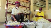 Burkina Faso : FASO ATTIEKE pour transformer le manioc local