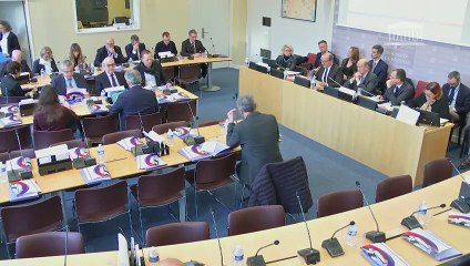 Commission de la défense : M. Rémy Rioux, directeur général de l’Agence française de développement - Mercredi 16 janvier 2019