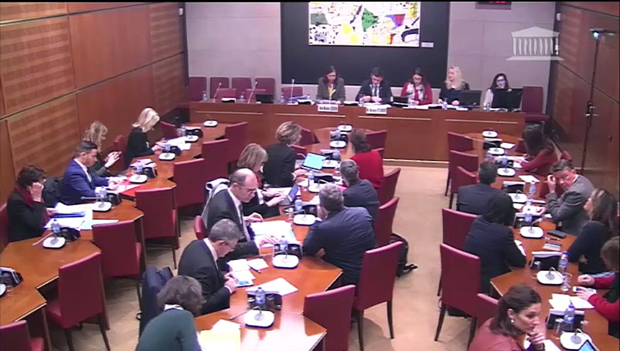 Commission des affaires culturelles : Mme Michèle Léridon, pressentie pour siéger au sein du collège du Conseil supérieur de l'audiovisuel - Mercredi 16 janvier 2019