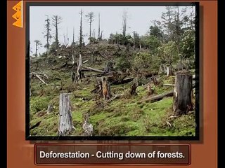 Forest Society and Colonialism