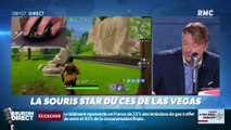 La chronique d'Anthony Morel : La souris star du CES de Las vegas - 17/01