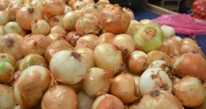 Küf Hastalığı Soğan Fiyatlarını Yükseltince Hükümet Düğmeye Bastı: Fiyatı Yarı Yarıya Düşecek