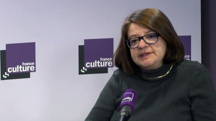 Pauline Schnapper : "La frontière entre le nord et le sud de l'Irlande deviendrait la frontière de l'UE"