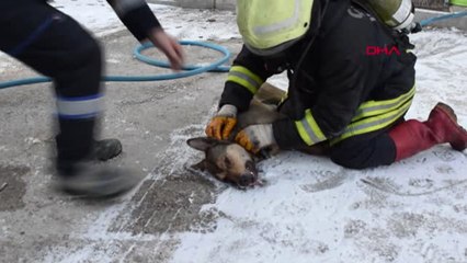 Çorum Yangında Mahsur Kalan 2 Kişi ve Köpek Kurtarıldı