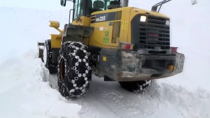 Doğuda kış - MUŞ