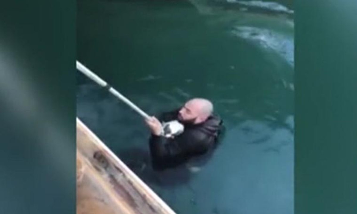 Yavru kediyi kurtarmak için buz gibi denize atladı
