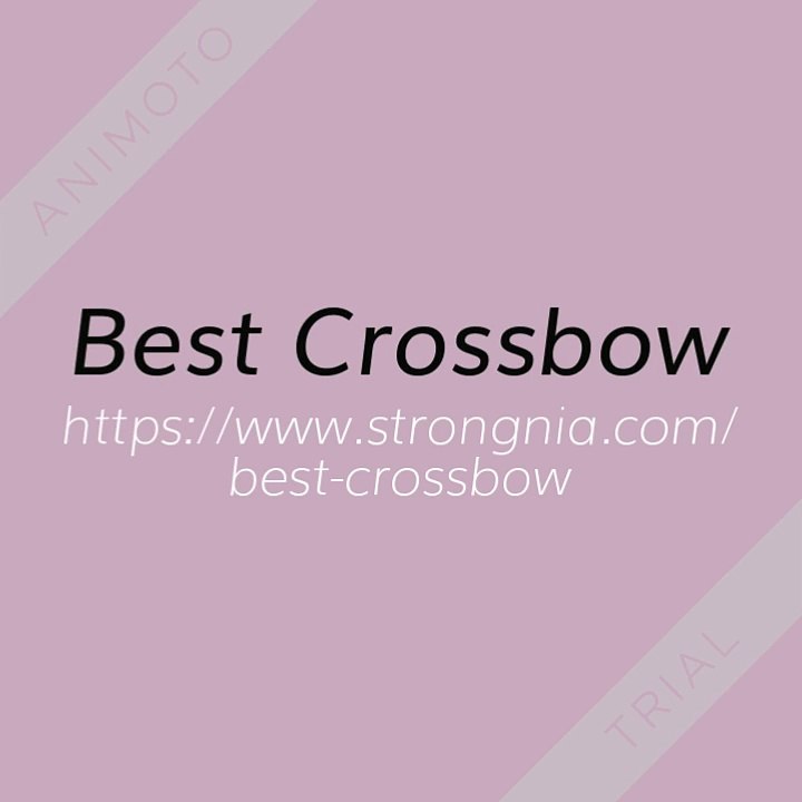 Best Crossbow