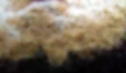 Elle raconte ses parties de jambes en l'air avec son homme : "Niouy 69, mou dougeul bamou seuss may..."