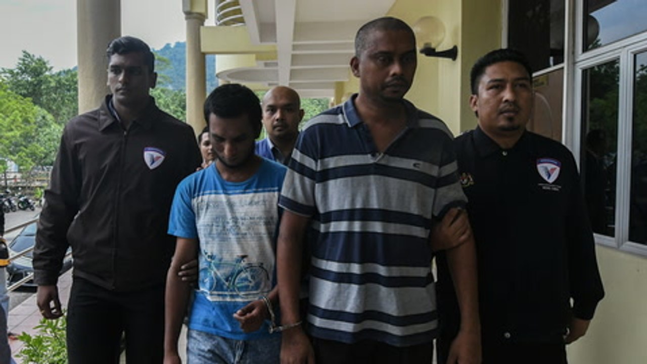 Laundry cat killer sentenced to two years' jail