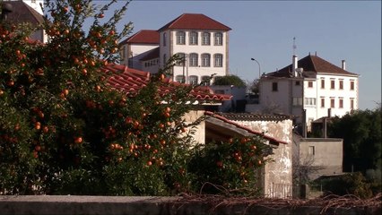 Penamacor  e Freguesias da Meimoa e Benquerença num olhar, Covilhã a 17-1-2019