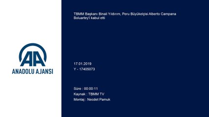 TBMM Başkanı Yıldırım Peru Büyükelçisi Alberto Campana Boluartey'i kabul etti