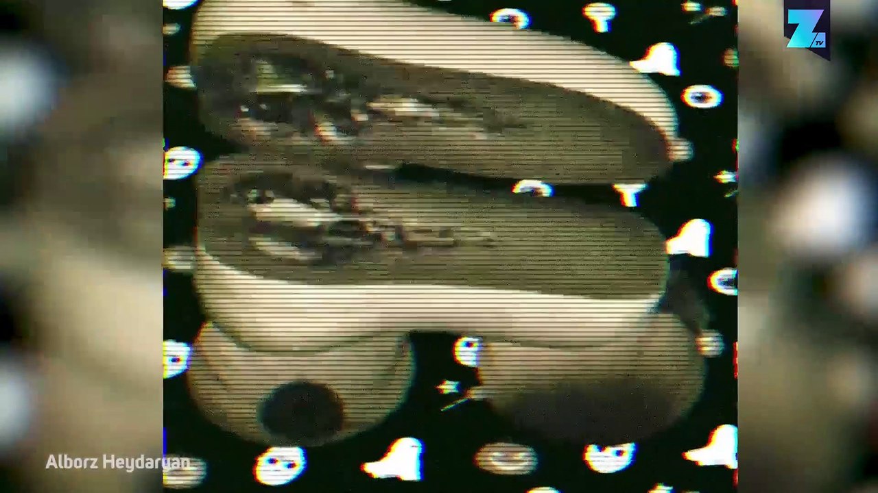 Die Realität mal anders