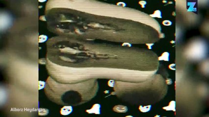 Die Realität mal anders