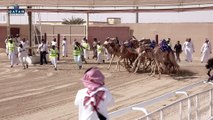 Neymar et Tuchel remportent une course de dromadaires à Doha le 16 janvier 2019