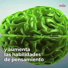 ¿Sabías que el café es bueno para la salud mental?