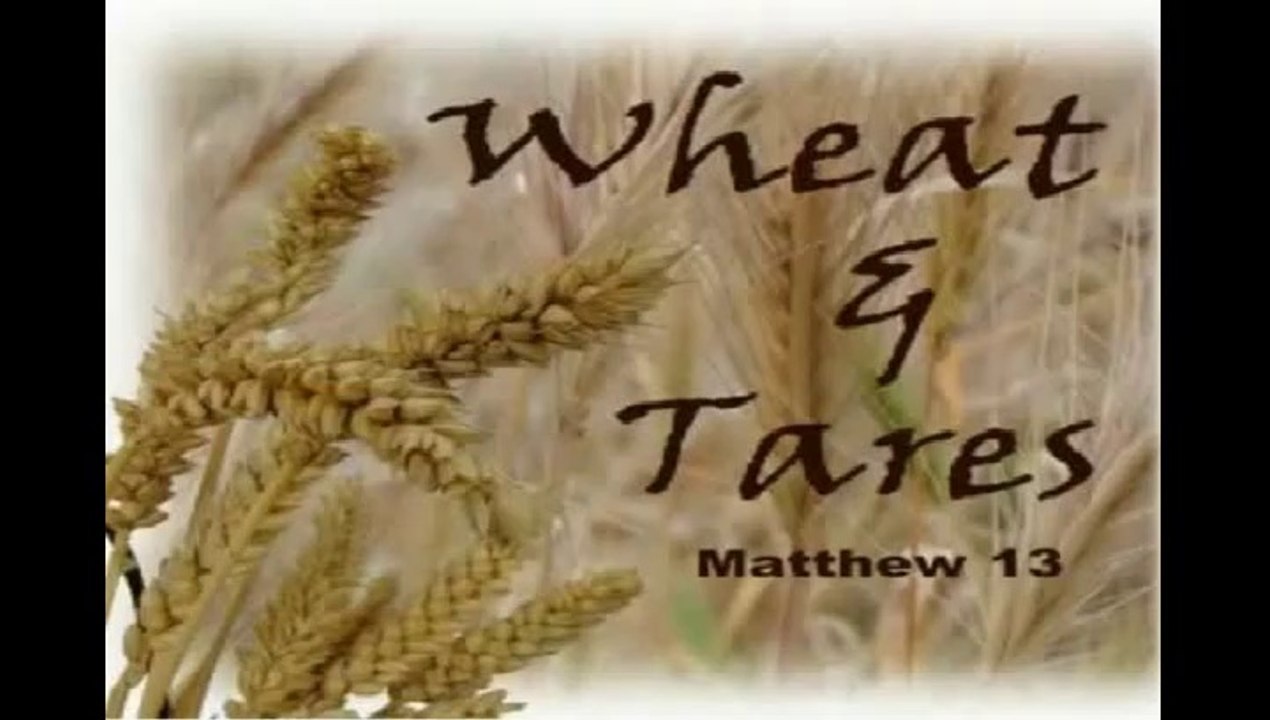 The Parable of the Wheat and the Tares