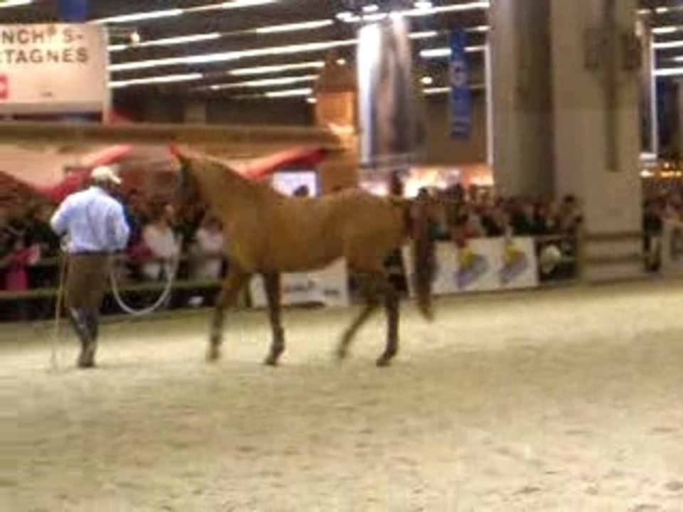 Andy booth salon du cheval 2007