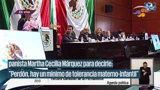 Tras polémica con Muñoz Ledo, senadora regresa con bebé