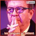 «Autoritarisme», «manque d’organisation»… les choix de Jean-Luc Mélenchon contestés en interne