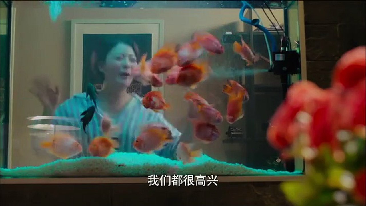19-我的冤家住对门-19集 高清