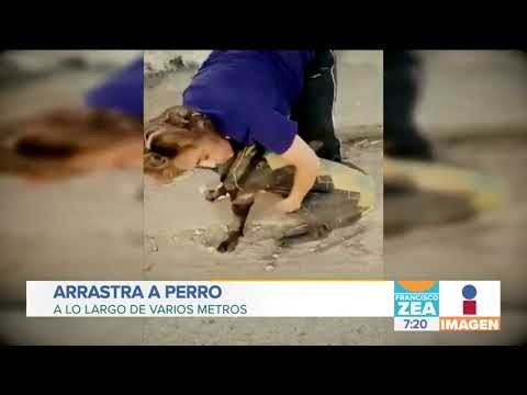 Arrastra a perrito con su coche en Oaxaca | Noticias con Francisco Zea