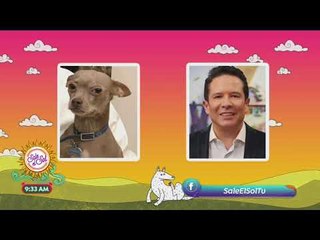 ¿Los conductores de Sale el Sol se parecen a sus mascotas? | Sale el Sol