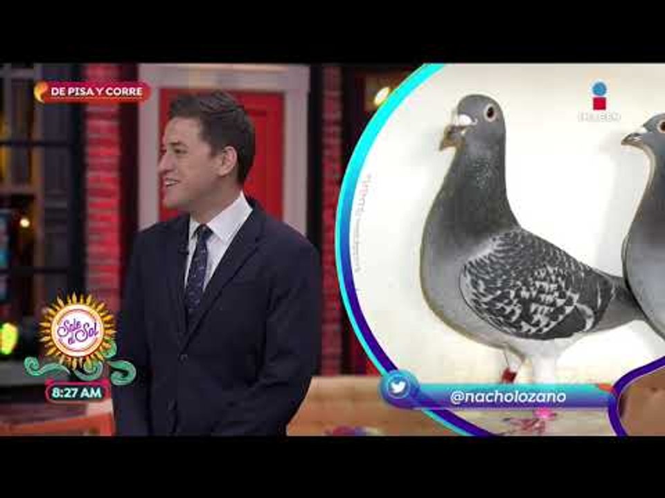 Nacho Lozano: ¿cómo se hará el reabastecimiento de gasolina? | Sale el Sol