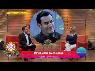 ¿David Zepeda es bisexual? | Sale el Sol