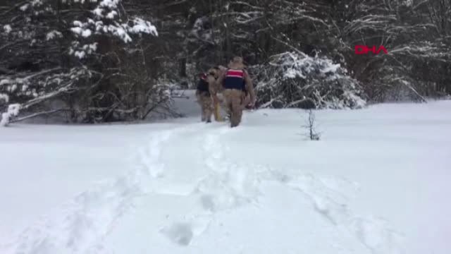 Amasya Jandarma Yaban Hayvanları İçin Doğaya Yem Bıraktı
