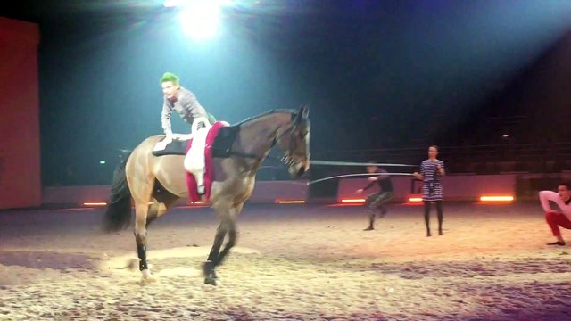 Le salon international équestre Cheval Passion