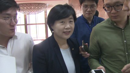 與 "손혜원 입장 수용"...서영교, 원내수석 사퇴 / YTN