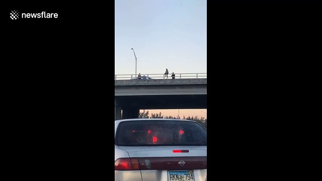 Dramatic moment Miami cop saves 'suicidal' woman on bridge