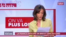 Le grand rendez-vous politique décryptant l'actualité. - On va plus loin (17/01/2019)