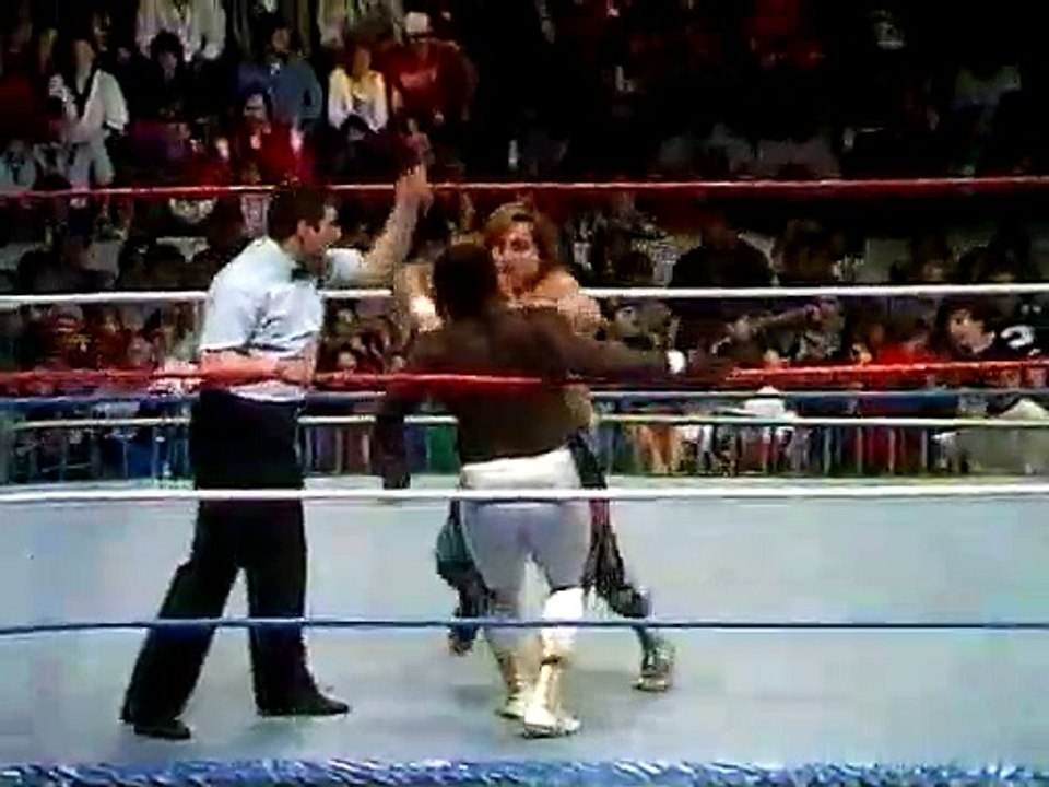 WWF Superstars 03 14 1987