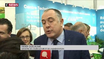 «Le vin n’est pas un alcool comme les autres»