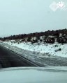 The largest elk stampede we've ever seen