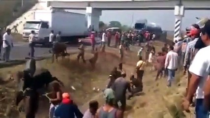 Download Video: Au Mexique, des centaines de personnes viennent piller un camion accidenté sur l'autoroute