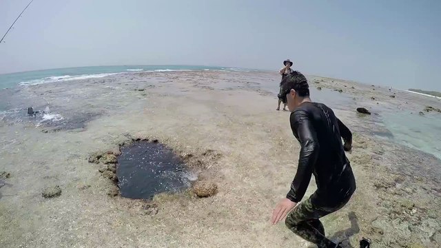 Il s'amusent à plonger dans un trou mystérieux en bord de mer