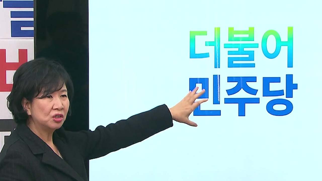 손혜원, 40년 디자인 전문가..거침없는 발언, 이슈마다 화제 / YTN