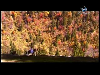 Thần Điêu Đại Hiệp 2006 Tập 12